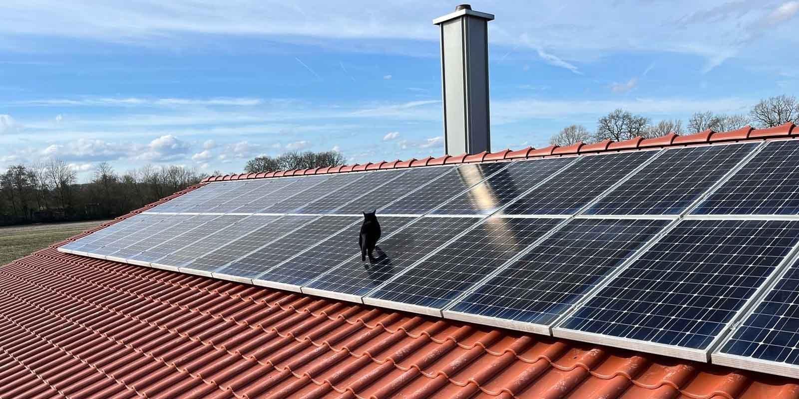 Ein schwarzer Kater läuft über die glänzenden Solarpanels eines roten Daches unter einem klaren blauen Himmel.